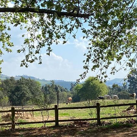 Yellowwoods Farm - Willoughbys Cottage And Old Stables Cottage Curryʼs Post Εξωτερικό φωτογραφία