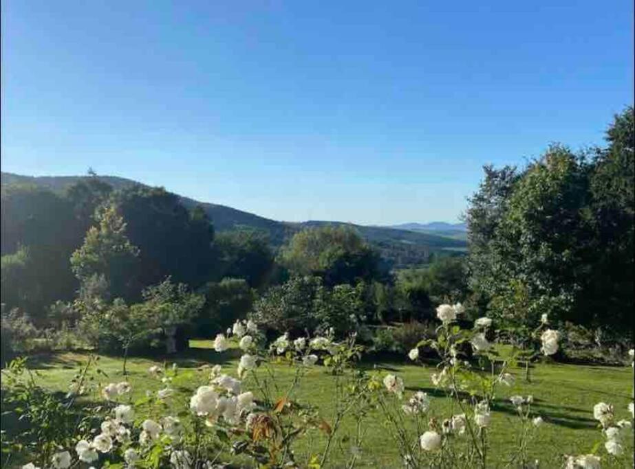 Yellowwoods Farm - Willoughbys Cottage And Old Stables Cottage Curryʼs Post Εξωτερικό φωτογραφία