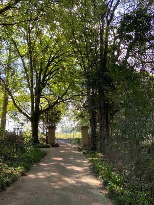 Yellowwoods Farm - Willoughbys Cottage And Old Stables Cottage Curryʼs Post Εξωτερικό φωτογραφία