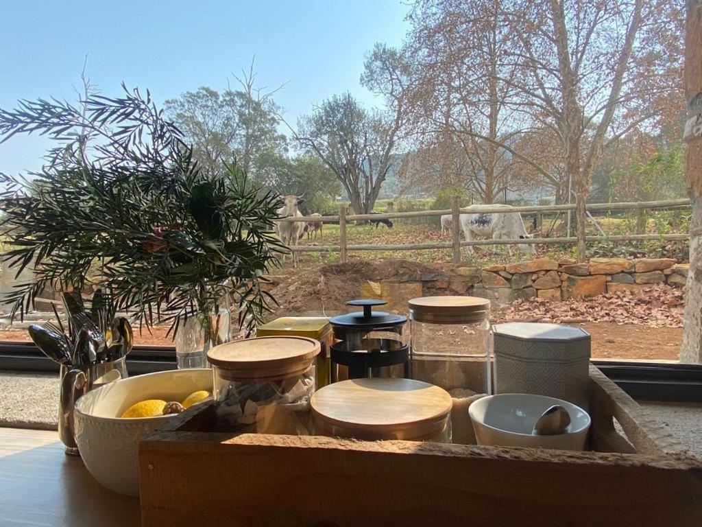 Yellowwoods Farm - Willoughbys Cottage And Old Stables Cottage Curryʼs Post Εξωτερικό φωτογραφία